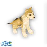 Sims 1 — Tbone by TSR Archive — Every Sims will want to adopt this cute little wolf puppy. Done as a request.
