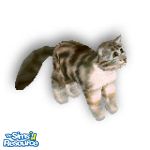 Sims 1 — Maine by TSR Archive — There is no other exotic house cat like the Maine-coon cat.
