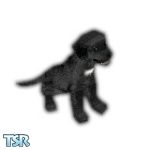 Sims 1 — Lady by TSR Archive — Is your Sims family lonely or need a companion, adopt a Black Lab puppy. Done as a