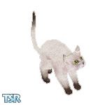 Sims 1 — Tipsy by TSR Archive — Tipsy is a cute white cat with tips of black on its feet and tail.
