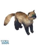 Sims 1 — Shag Cat by TSR Archive — Shag is a friendly long haired stray cat, please adopt.