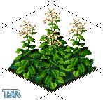 Sims 1 — Tobacco Plant by hootyholler — Tobacco season is at hand, and before you can cure it, you need to grow it. Don't