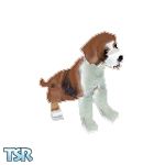 Sims 1 — St. Bernard Puppy by TSR Archive — I did this puppy skin to resemble a St. Bernard Puppy as a request from a pet