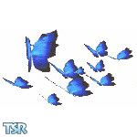 Sims 1 — Blue Morph by NiGhT_PhOeNiX — This is an animal from NiGhT_PhOeNiX's Pet Store at Arabian Sims. This butterfly
