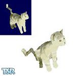 Sims 1 — BastDawn Alley Cat by BastDawn — Poor old cat... you can tell he's been in a few fights! This pet was made as a