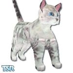 Sims 1 — Snow Bengal by SnowKitty — The Bengal is a medium-sized cat with a well-proportioned body type and head. Its