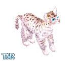 Sims 1 — Snezhinka by viskamiro — The little spotted cat of the north.