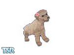 Sims 1 — Poodle Rose by WickedDarling — A cute poodle with a pink rose in its ear.