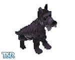 Sims 1 — Gray Scottie Dog by SeeTheArtInMe — The perfect gray Scottie Dog.