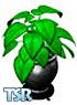 Sims 1 — Green Rubber Tree Plant by Natalia — Part of the Halloween Set.